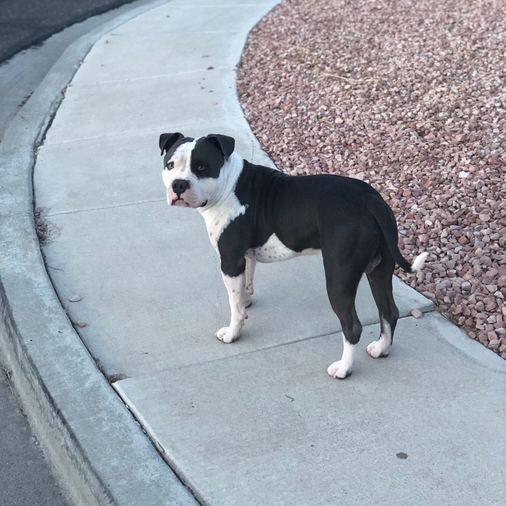 Meet your Posher, Ernesto